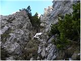 Jakobe - Feistritzer Spitze